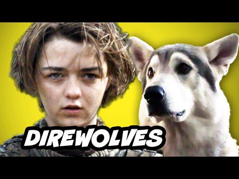 Supper_Shopper's tweet image. Game Of Thrones Season 6 Q&amp;amp;A - Arya Direwolves Superpack vid.staged.com/e5Hq #holidayshopping #deals