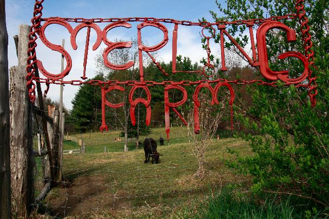 ChooseVets's tweet photo. Turning Veterans Into Farmers At Sterling College

http://t.co/hsIyAK9cSW #Forbes #Veterans http://t.co/PT3jm6tDOb