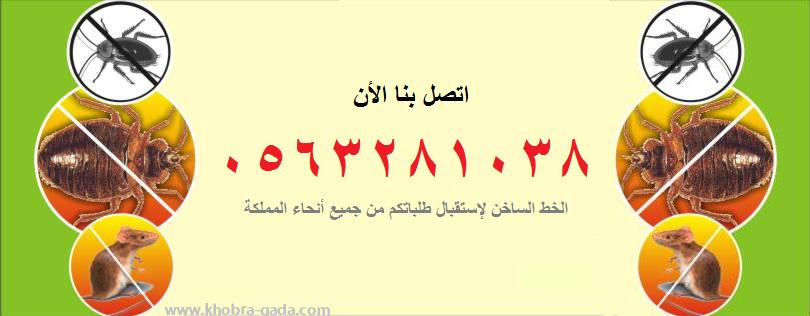 khobragada's tweet image. افضل شركة مكافحة حشرات بجدة
khobra-gada.com/%D8%B4%D8%B1%D…