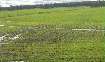 RiverinePlains's tweet photo. Look familiar? Want to minimise N loss? Join us on-farm next Thurs to chat N efficiency http://t.co/AItGiwCC0w http://t.co/zY3DfemEYn