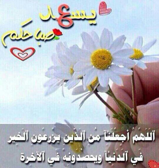 Golden Lifts (@goldenlifts) on Twitter photo 