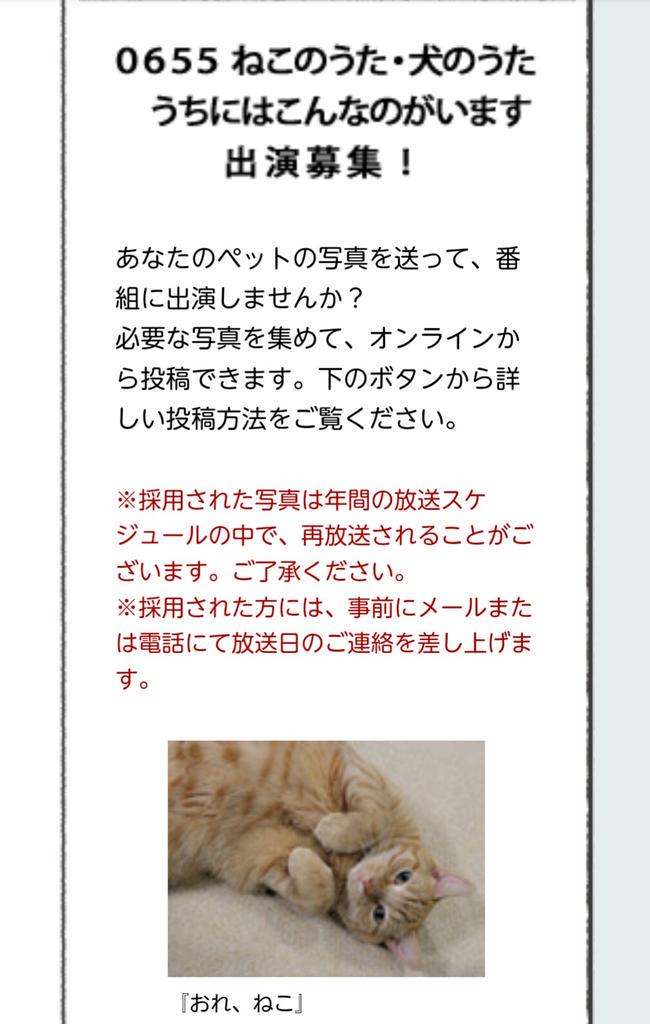 はぴこ Pa Twitter ｅテレの0655 ねこのうた 犬のうたのコーナーに うちにはこんなのがいます って曲ができて その他のペットも投稿できるようになった 文鳥がでたら楽しいな みんな投稿しませんか Http T Co Wqk80uezfd