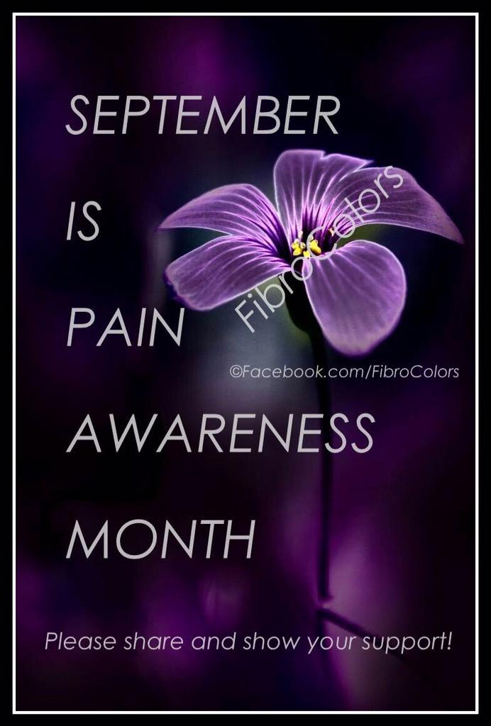 HISCNorth's tweet image. 