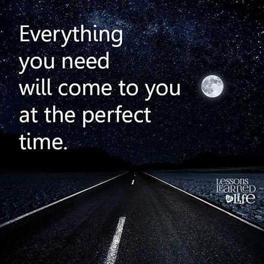 vkmega's tweet image. 