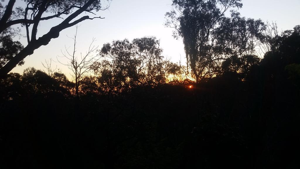 Derek Radz tweet media