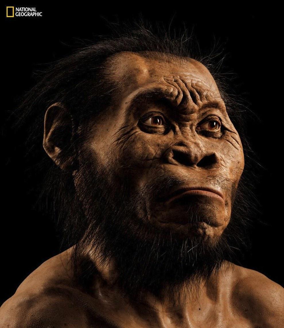 BuzzFeedScience's tweet photo. Just discovered: A new human species with small brains who buried their dead http://t.co/MHOpZzXy7J http://t.co/QyoCInoYrW