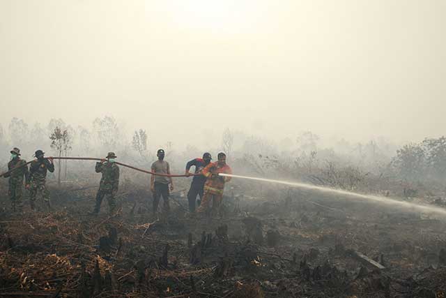 mediaindonesia's tweet photo. BNPB: Kebakaran Hutan 90% Disebabkan Ulah Manusia http://t.co/UjKOl8KpXn http://t.co/Fy1qfKrSOT