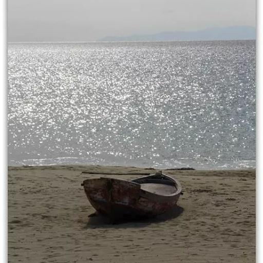 makriroula's tweet photo. Τις νύχτες μπαίνεις στα όνειρα μου λες κι ήρθες σε δικό σου κήπο. ..
Καλημέρα φίλοι μου!! http://t.co/4U0tk97k1a