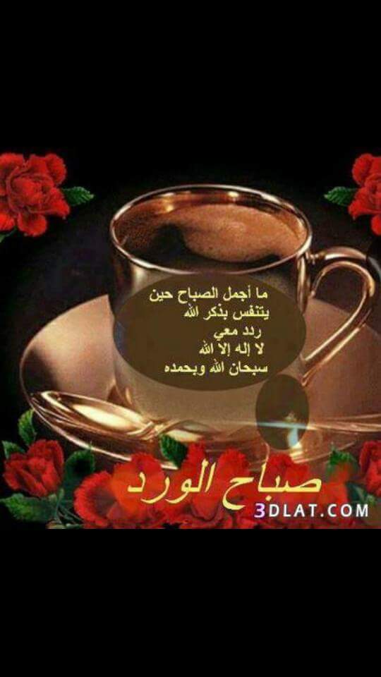 asam123446's tweet photo. @2df0e6d2b840423 @Eifthr @QEGovGJ7RP0AGOV @asma77777asma @34610 @nauraes5 @ALbasrah_87 @A606324 @ssncoacoz @zaidz712 http://t.co/s2HwMar7Mr