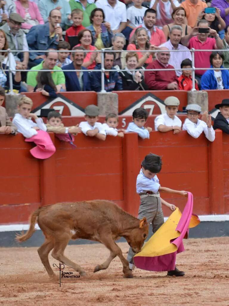 100x100Toros's tweet photo. Marco Pérez dicen q se llama y tiene 7 años. ¡¡Viva el toreo!!
#TenemosFuturo
#SiALosNiñosEnLosToros 
#TenemosFuturo http://t.co/pfQFXNogF4