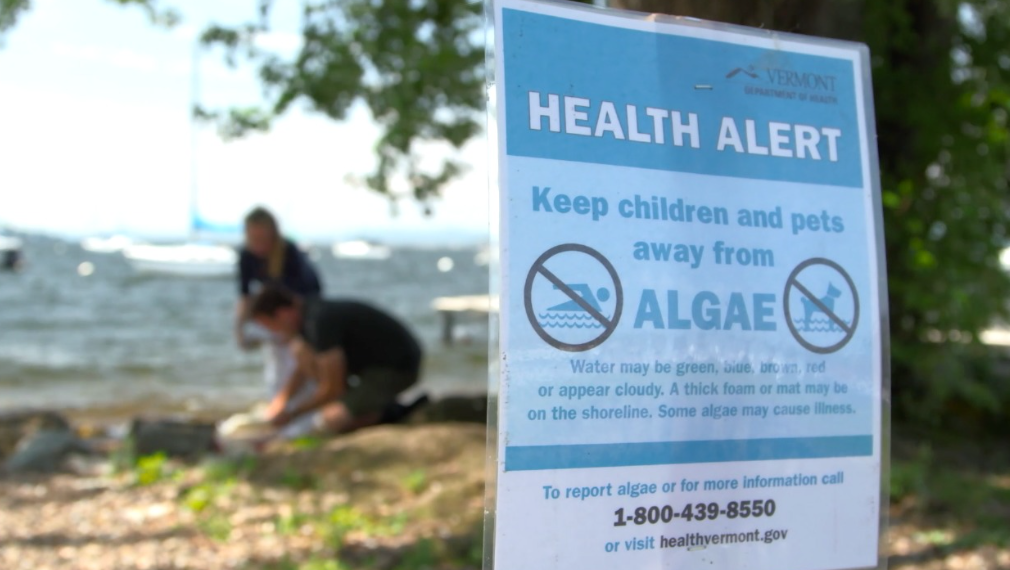 Blue Legacy tweet media