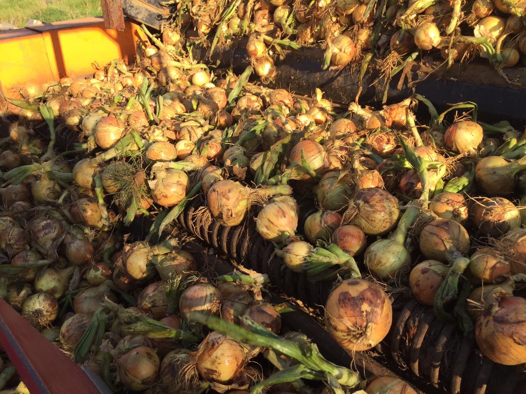 Richard Parry tweet media