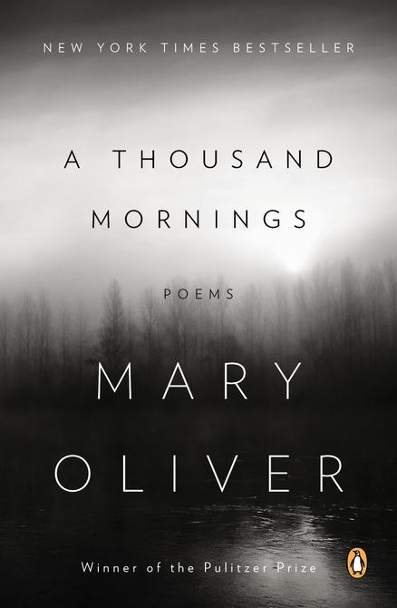  Happy birthday to beloved American poet Mary Oliver! 