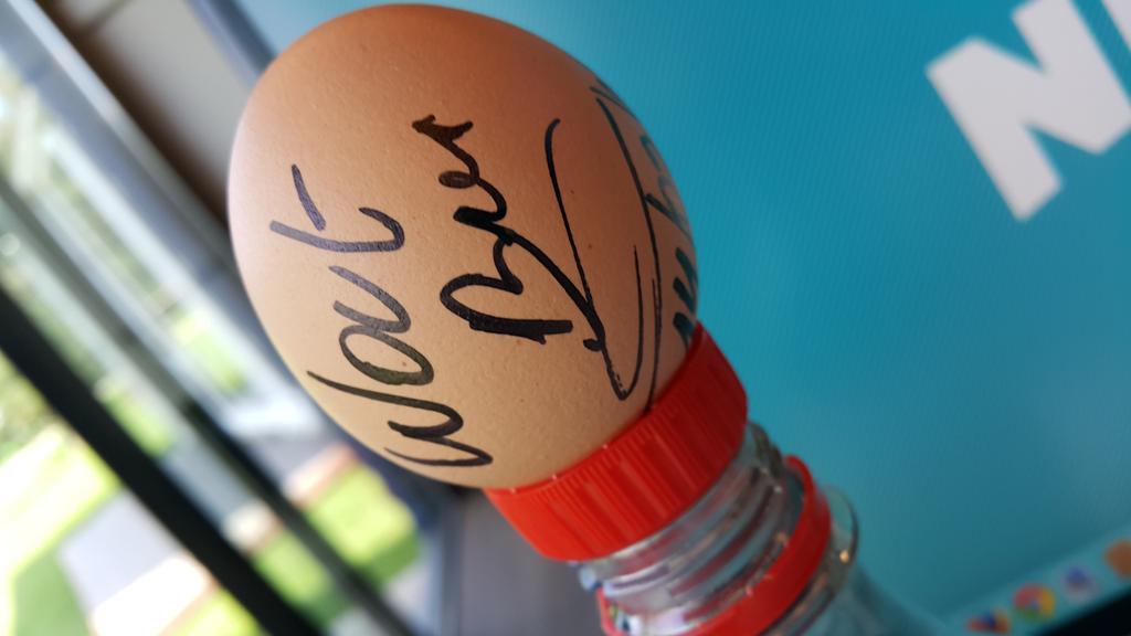 Wout Bru (@wout_bru) on Twitter photo 