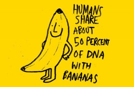 bestdesignonweb's tweet photo. Well, isn't that interesting? :D #lol #interestingfacts #funny #BestDesignOnWeb http://t.co/VTpobHu8vM