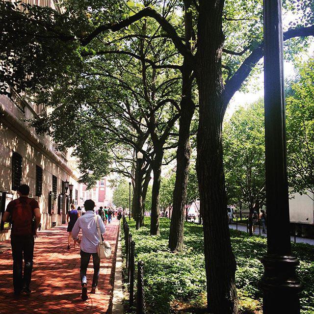 altmanx's tweet photo. #FirstDay of school!@columbiagsapp #msaud #Fall15 http://t.co/AQpT4O3TaK http://t.co/VtzOhqrIrl
