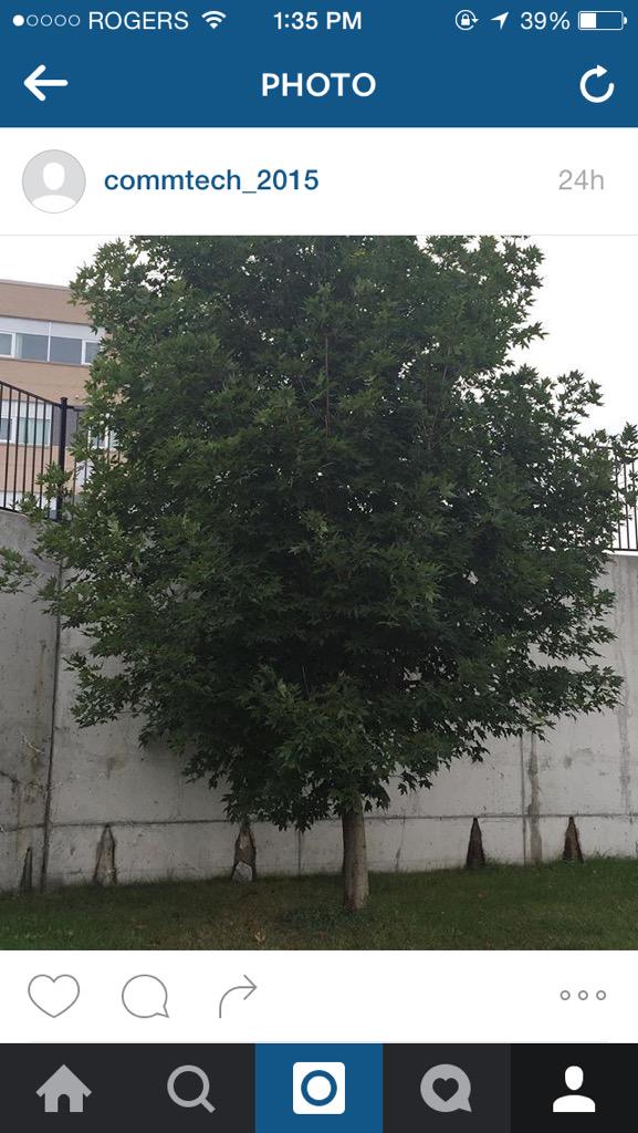 commtech_2015's tweet image. Simplicity shots