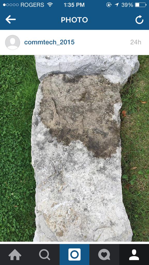 commtech_2015's tweet image. Simplicity shots