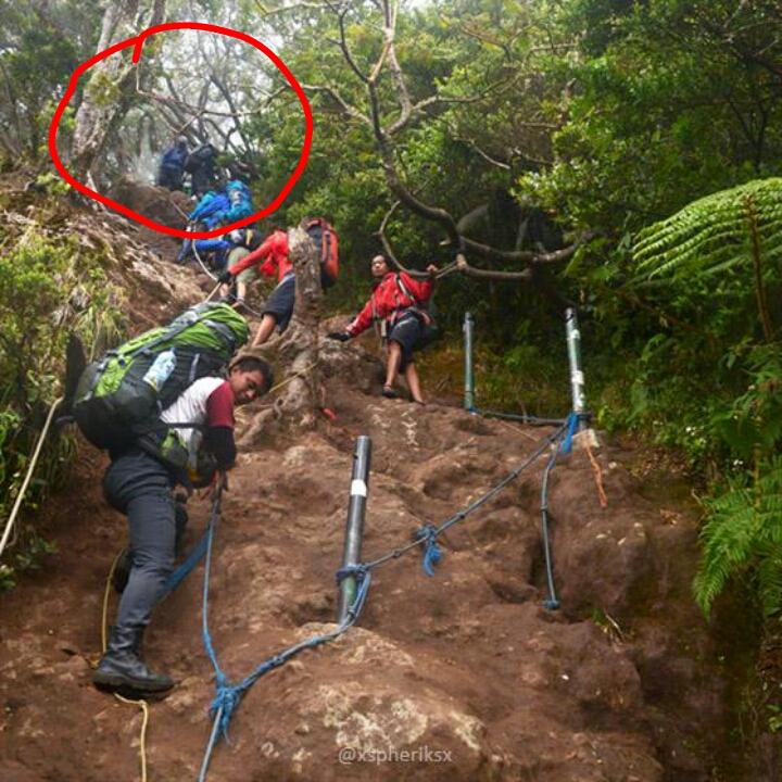 Buseeeh,, nih yg pd naek ga ada yg liat siang2 ada penampakan
#TanjakanSetan #TNGGP