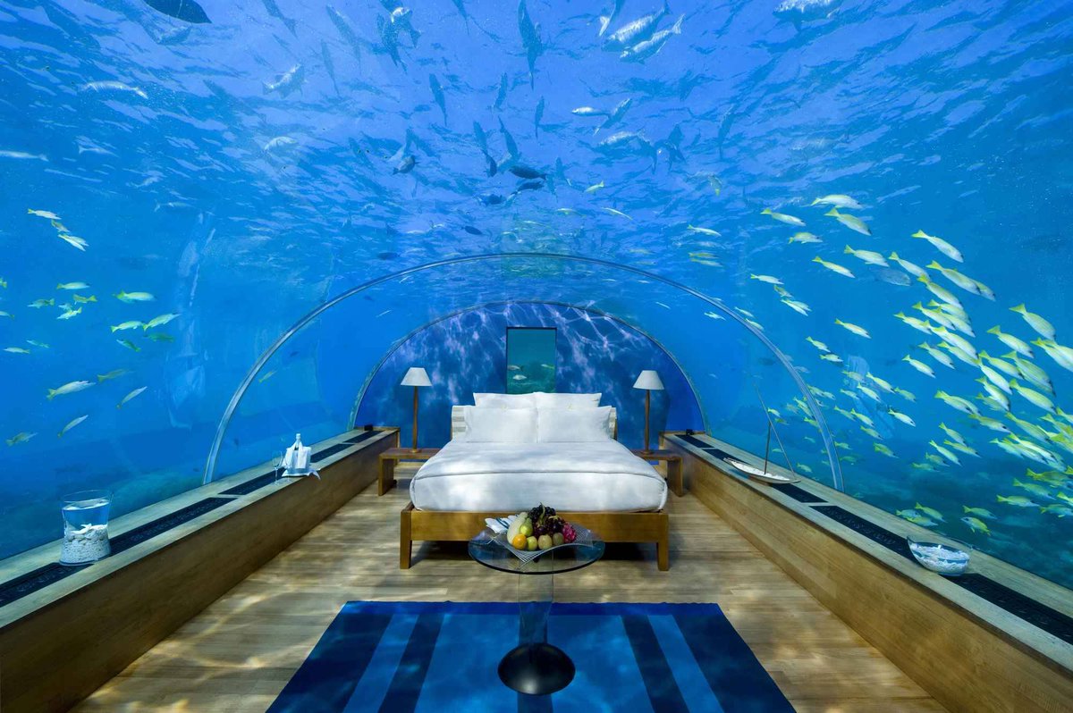 AlpaPools's tweet image. Love vacationing by #water? Under water #hotel destinations! @HaywardPool