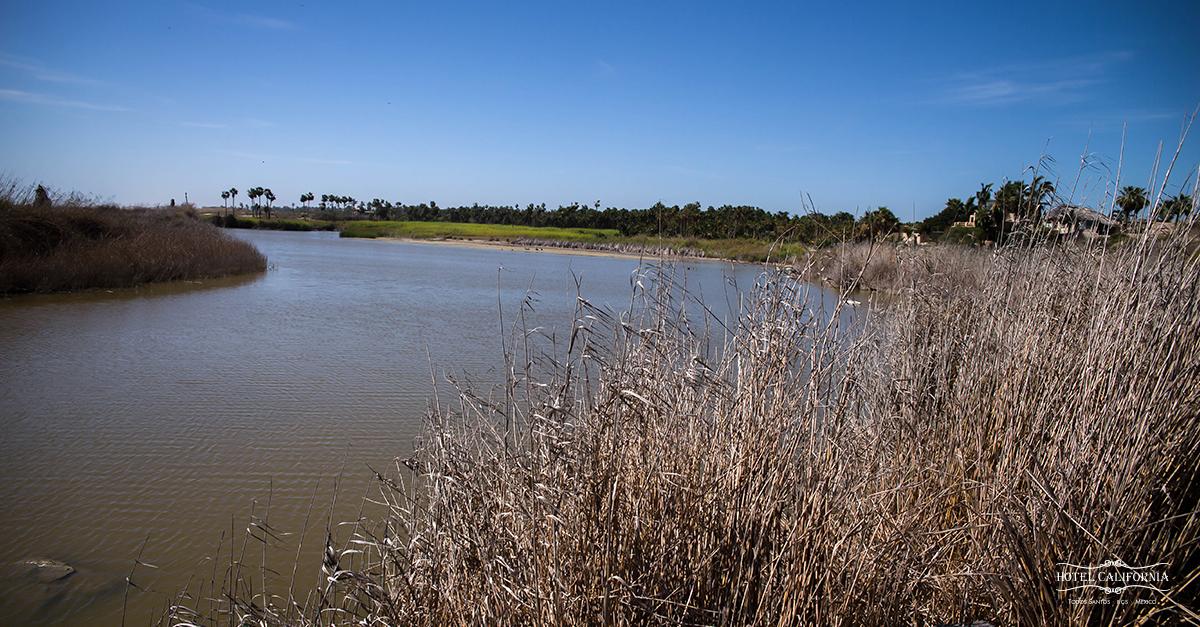 This weekend make a wonderful trip to #TodosSantos #HotelCalifornia #beach