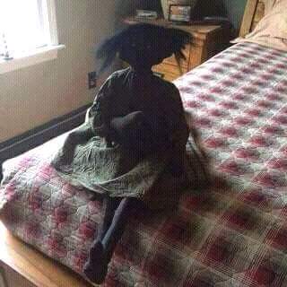 Brick me... please brick me... you'll have this on your bed