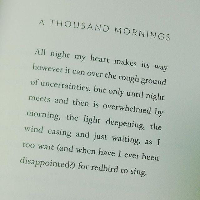 Happy birthday to Mary Oliver, a poet who has taught me so many things about living.  