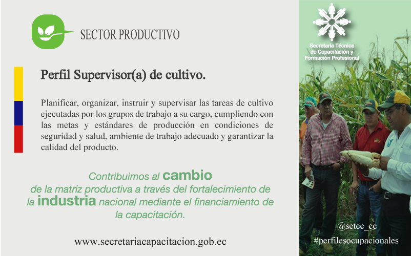 setec_ec's tweet photo. Perfiles ocupacionales alineados al cambio de la matriz productiva.
http://t.co/JemBX7Wfyy http://t.co/fqrm8R0LjH