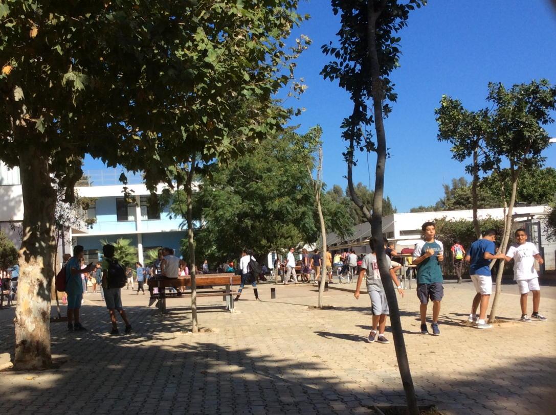 Embedded image permalink