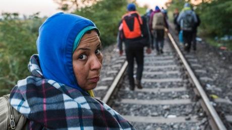 #Whoarethey: Asylum-seekers come to Europe from all walks of life ift.tt/1XPZP8t