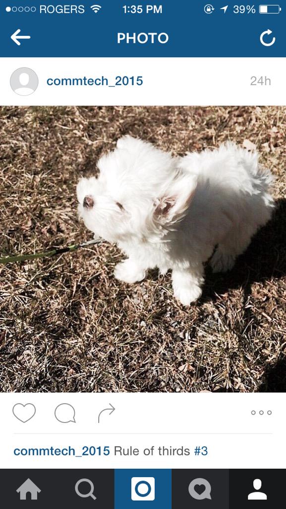 commtech_2015's tweet image. Rule of thirds shots