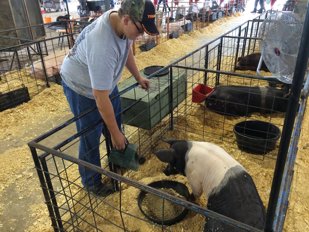 valliantffa's tweet photo. McCurtain County Hog Show Today at 4! #VFFA http://t.co/F6Tcy9MN5i