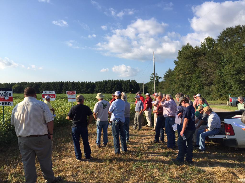 Tom Allen (@baldpathologist) on Twitter photo Great turnout for soybean disease clinic in Monroe County <a href="/MSUExtService/">MSU Extension</a> <a href="/TrentIrby/">Trent Irby</a> <a href="/chrlstokes/">Charlie Stokes</a> <a href="/MSSOY/">MS SOYBEAN BOARD</a> #mscrops Great turnout for soybean disease clinic in Monroe County <a href="/MSUExtService/">MSU Extension</a> <a href="/TrentIrby/">Trent Irby</a> <a href="/chrlstokes/">Charlie Stokes</a> <a href="/MSSOY/">MS SOYBEAN BOARD</a> #mscrops