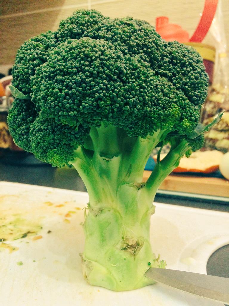 WiggyBanger's tweet image. #MidgetTree !!!