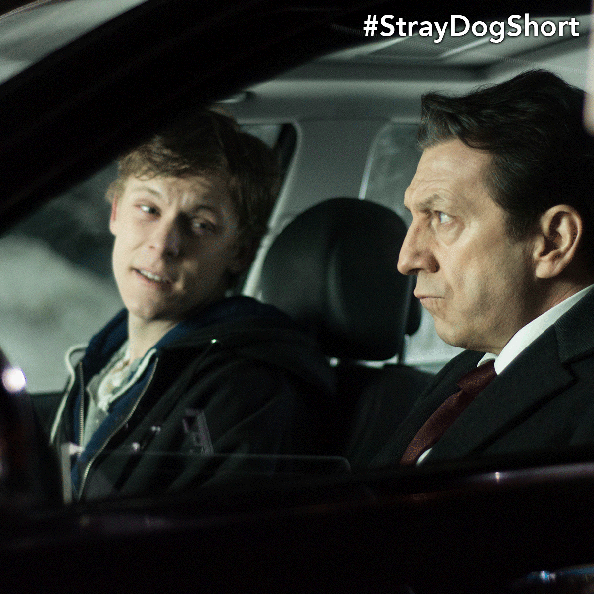 cfccreates's tweet photo. It's #ShortsWeek! Today meet 2015 #CFCSDF #StrayDogShort, directed by @mike_mazzuca: http://t.co/GEHCBNzs6p #CFCfilm http://t.co/3QgejbBrKG