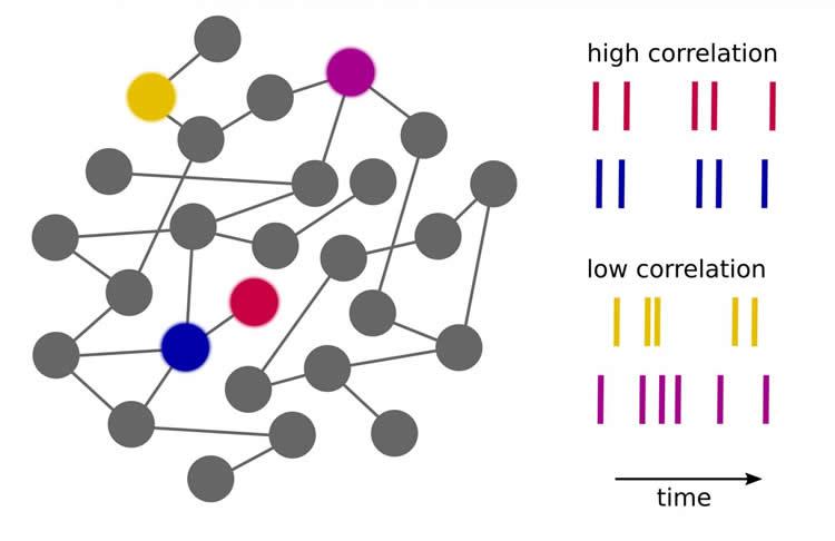 NeuroscienceNew's tweet image. Small Brain Models Distort Contact Intensity Between Neurons neurosciencenews.com/computational-… #neuroscience
