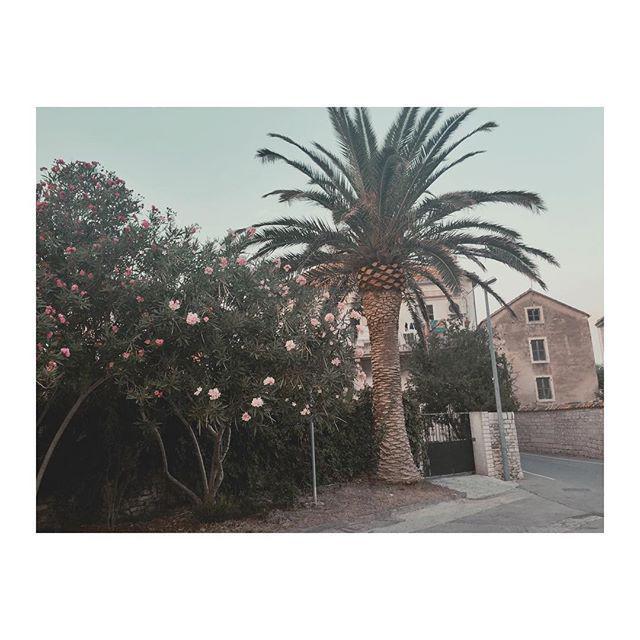 NicheEscapes's tweet image. Credit @tahrimamustafa via Instagram #nicheescapes Take me back 😌  #myphotography.  #pucisca #travelling #naturelov…