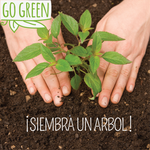 elfuertepty's tweet photo. ¡Siembra un Árbol! Es bueno para el aire, la tierra y cuando crezca dará buena sombra. #gogreen #elfuerte #pty http://t.co/dgavaK5RKp