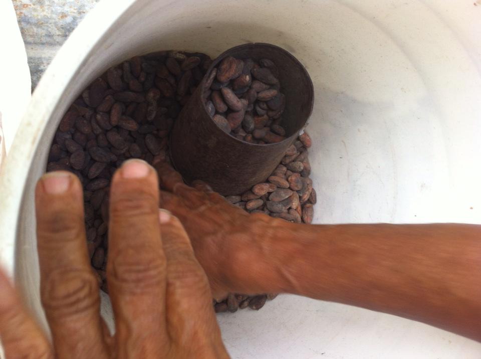 One one cocoa full basket. An old Jamaican saying from which we got our name.