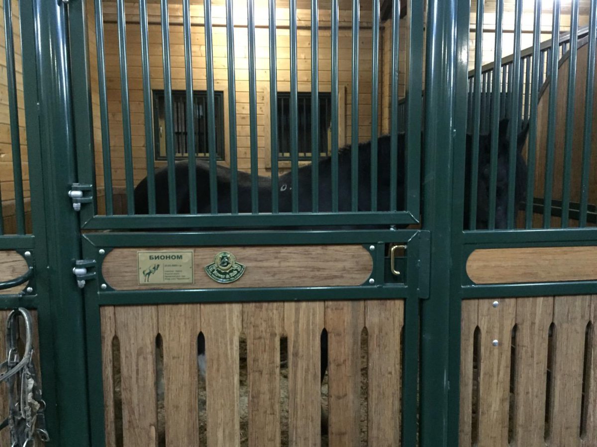 Alexey G. Brodskiy tweet media