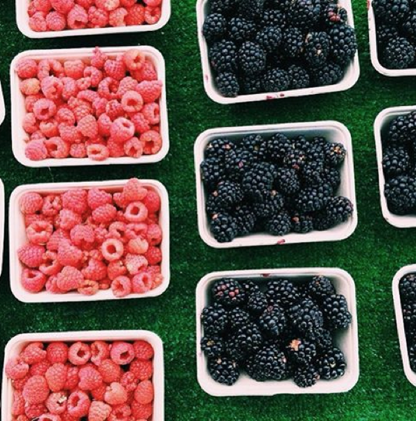 ARRIVEDSanDiego's tweet photo. RT @ExploreNP: HEALTHY || shop the North Park Farmers Market every Thursday starting at 3PM. @WhereSanDiego http://t.co/IDUhFyb8QH