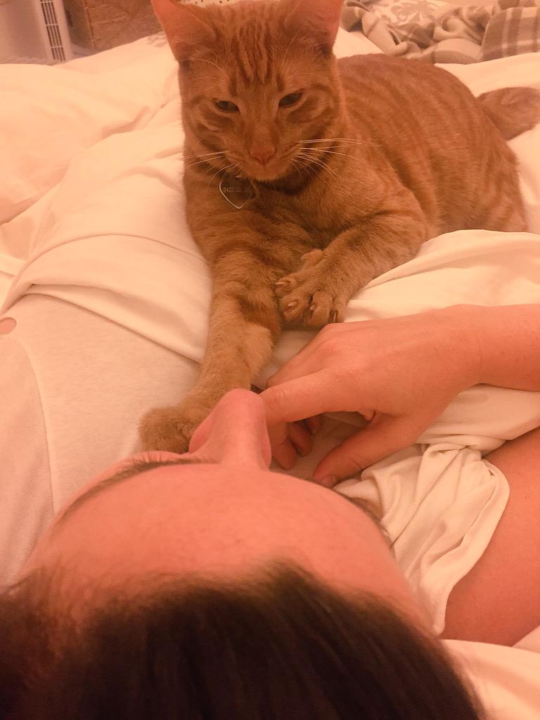 HollyGerard's tweet photo. "WAKE UP MOMMA! Time to go HACK!" Love Eddie @sca_spark #scaspark #nontechteamโ๐ผ๐ฏ๐ป http://t.co/WqxjBAqdos