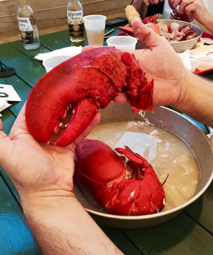 Robert_Kovach's tweet photo. Now that's a #lobster, 3.1lb soft shell. So tasty! Mmmm! My favorite place Thurston's Lobster Pound in Bernard, ME http://t.co/yOmuCh57xL