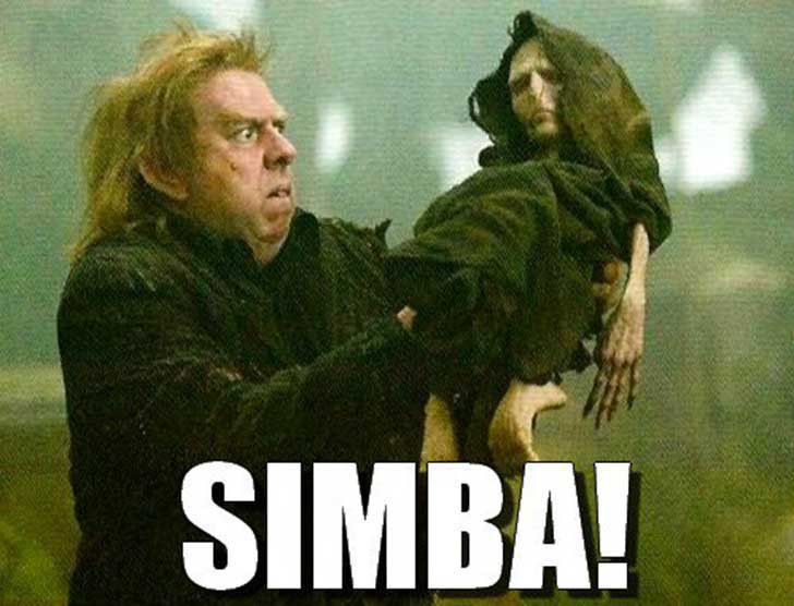 15 memes extremadamente graciosos de Harry Potter