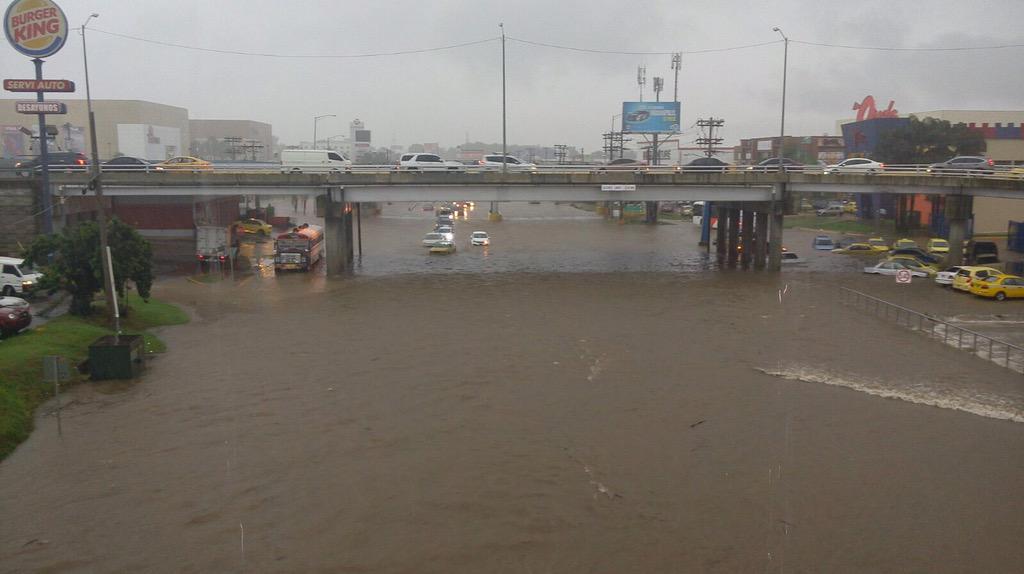 AlvaroAlvaradoC tweet picture