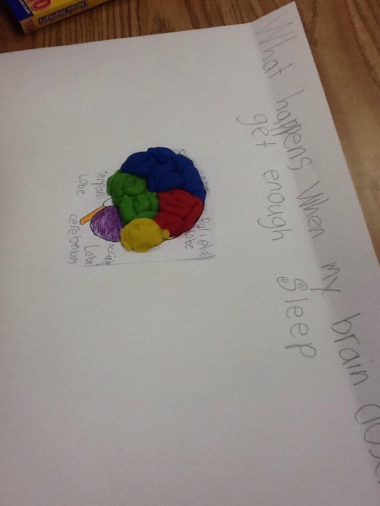 TripleCrownEl's tweet photo. How does our brain work? 3rd Grade is exploring the brain! #21cl #STEMeducation #elementaryAVID #coltpride http://t.co/oU6FrRBe1V