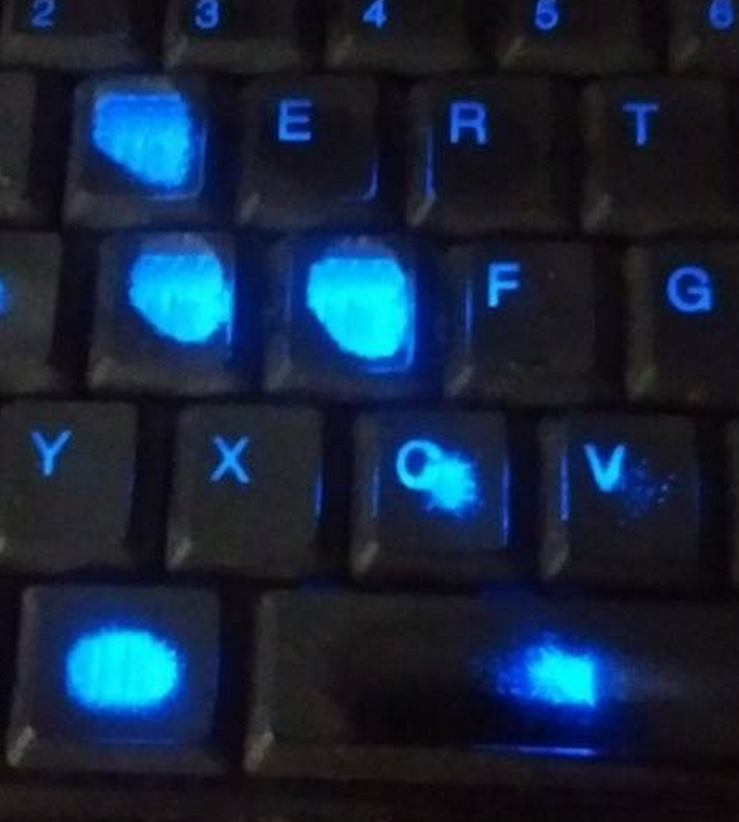 TGN en Español tweet media