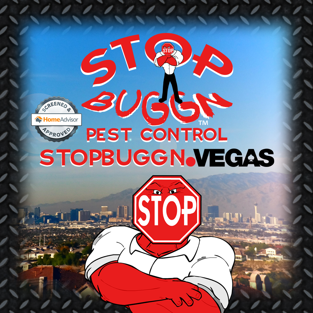 DorkKnightVegas's tweet image. PRESS RELEASE: #LASVEGAS – New #Vegas #PestControl #website w/ #dotVegas domain launches: goo.gl/wNU6HK