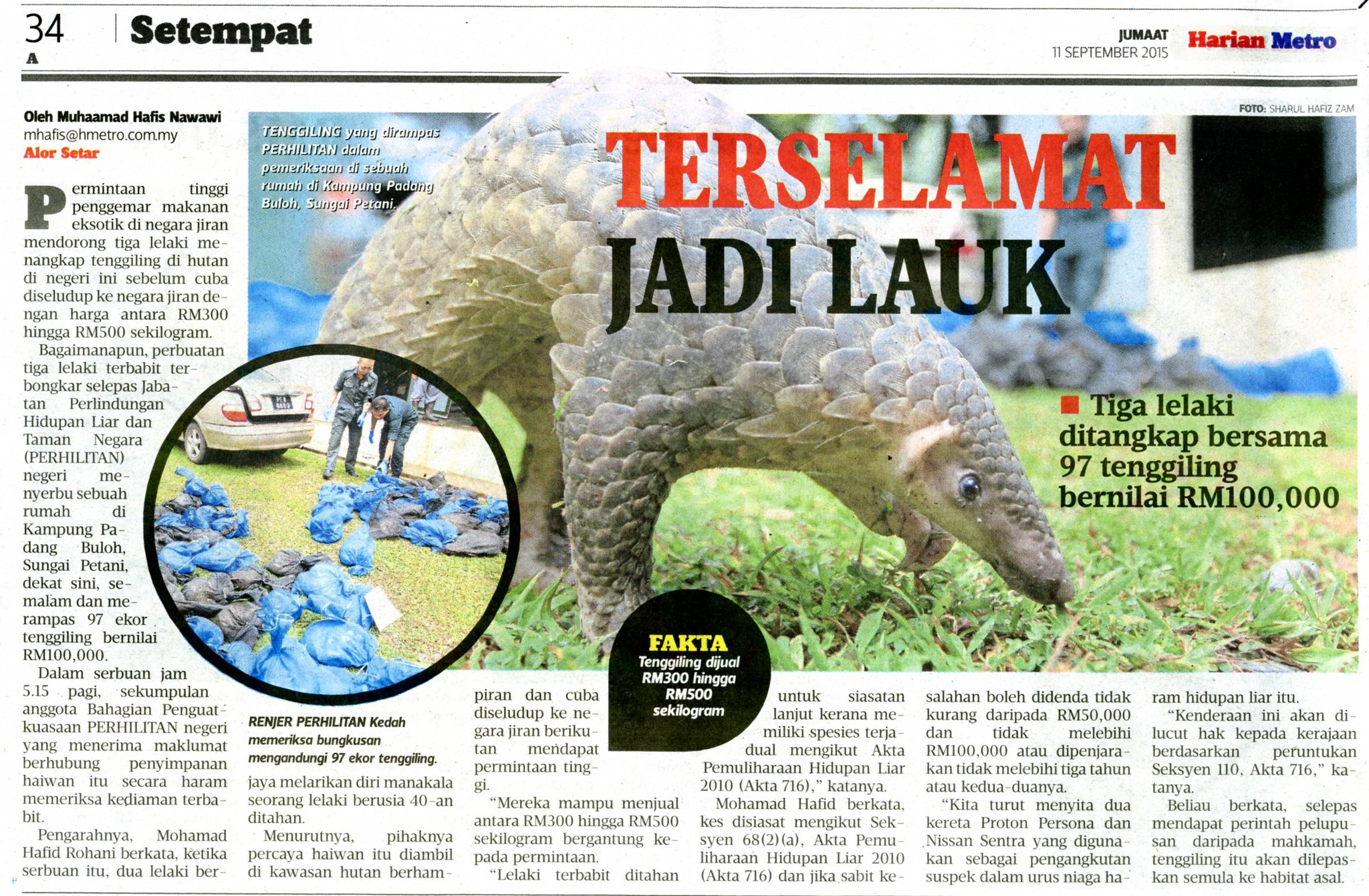 Jabatan Perhilitan En Twitter Rampasan 97 Ekor Tenggiling Oleh Jabatan Perhilitan Negeri Kedah Http T Co Rq6fntkwo5