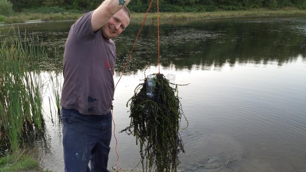 TimeDiggers's tweet image. 